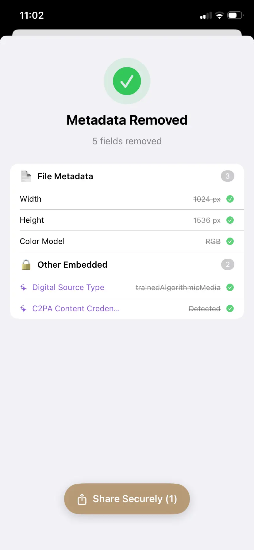 PrivyClean showing AI metadata successfully removed from image