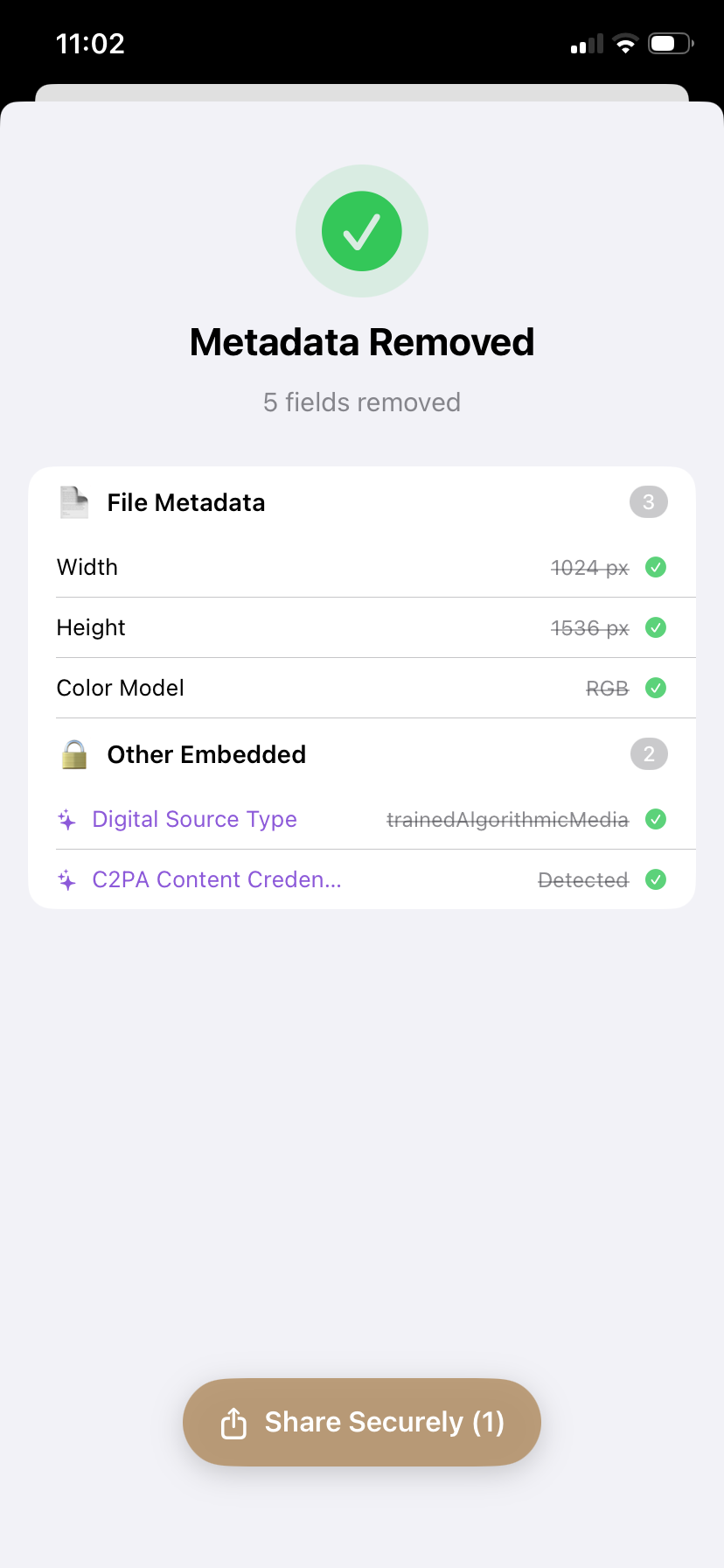 PrivyClean iPhone screen showing AI-related metadata removed after cleaning