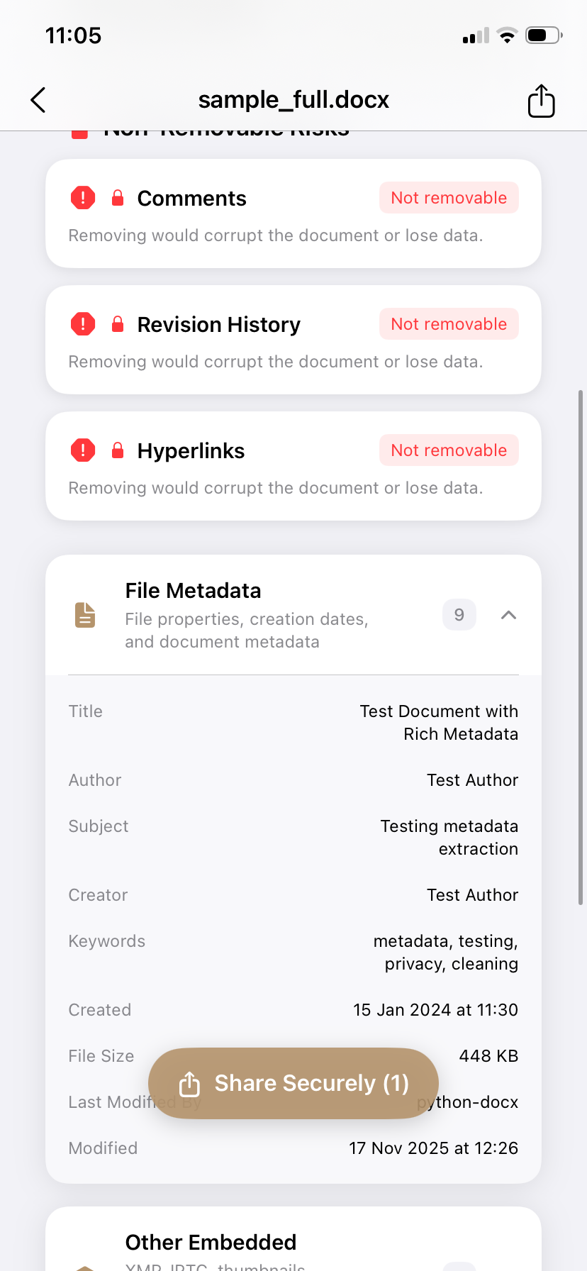 PrivyClean iPhone screen showing DOCX metadata and non-removable risks