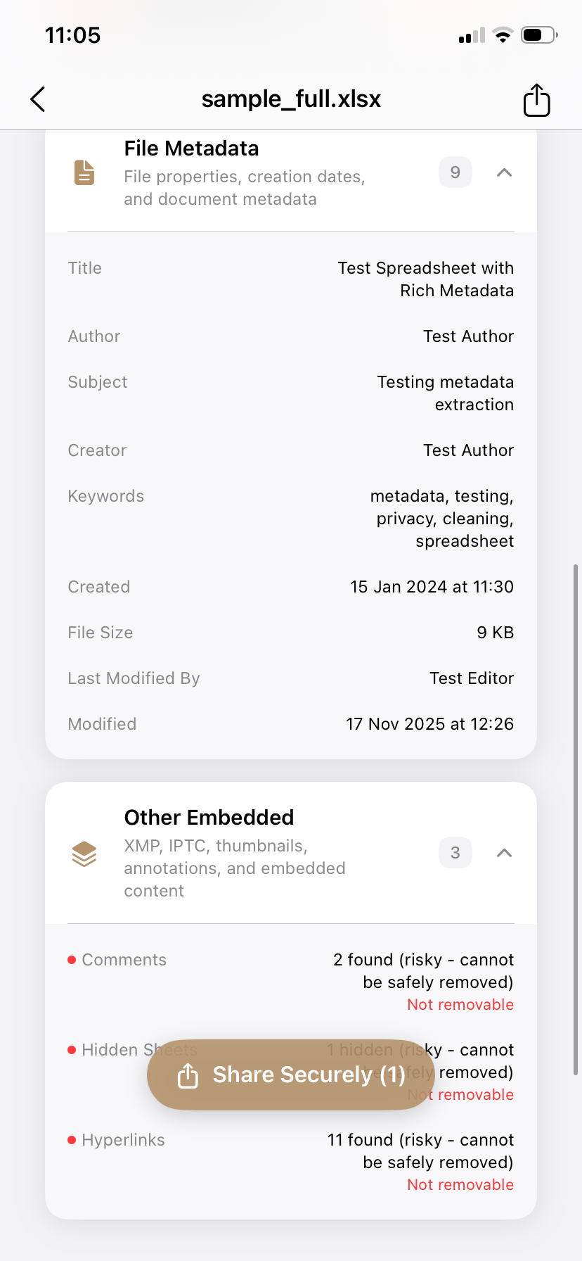 PrivyClean iPhone screen showing XLSX metadata and risky embedded content
